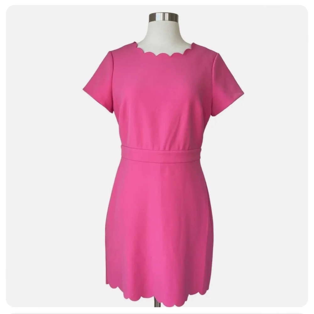 Barbie Pink Maison Jules Scalloped Dress